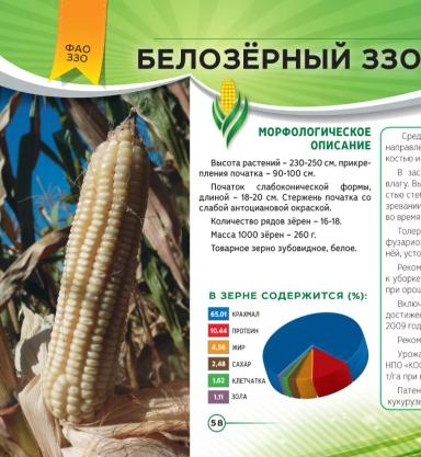 Белозерный 330