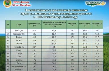Подбор сортов озимой пшеницы по мнению практиков