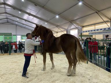 Золотая Осень 2021