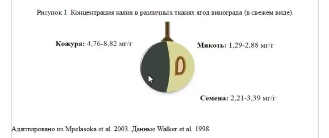 Обеспечение виноградников калием: как решать задачу. Часть 1
