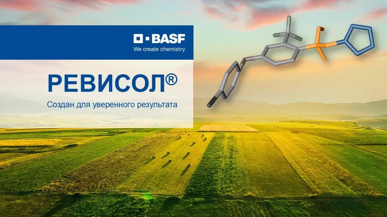 Когда эффективность начинается с молекулы