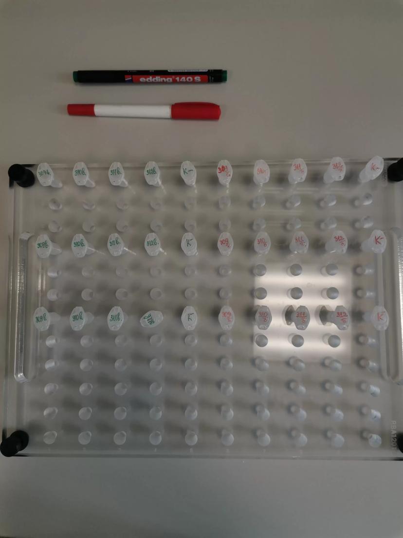 Хочу поделиться эстетикой прохождения моей преддипломной практики в