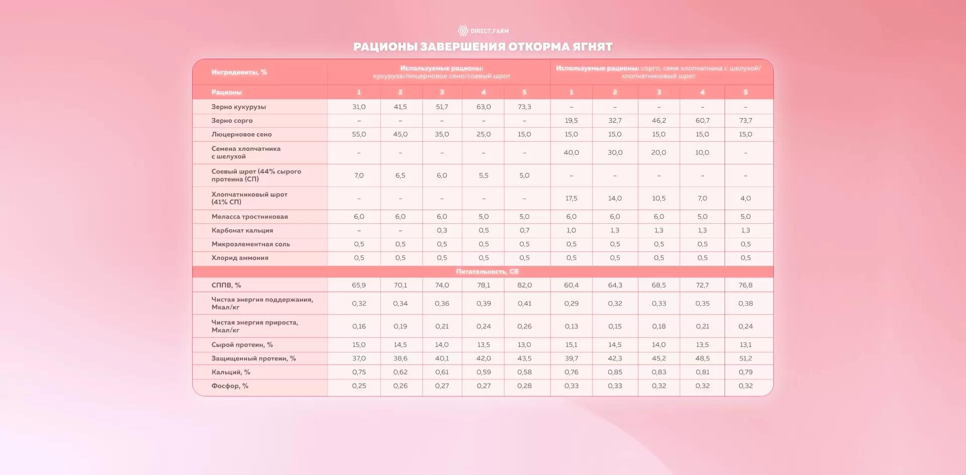 Примеры рационов для завершения откорма ягнят
