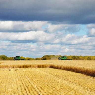 Партнеры об «Августе»