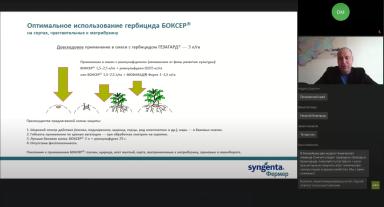 Гербициды на картофеле