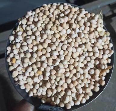 Горох в порту Новороссийск. Продажа.