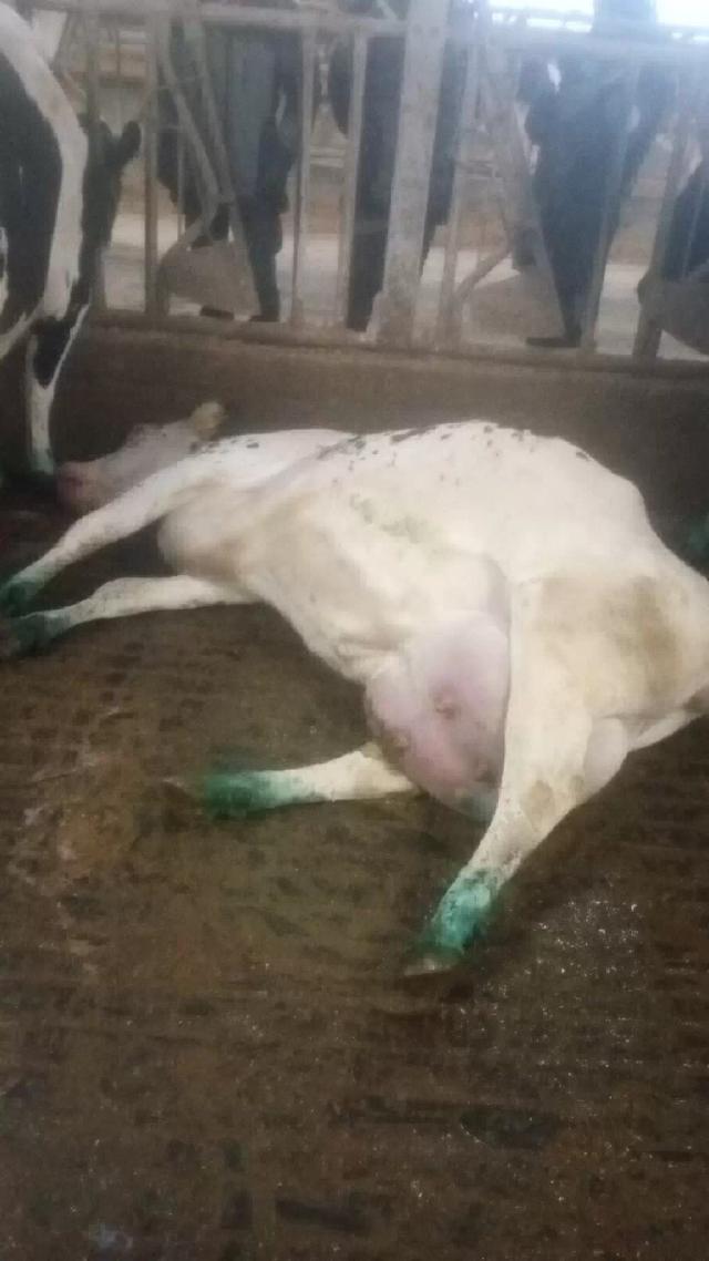 Пропранолол