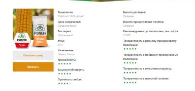 П 9241 - гибрид кукурузы Пионер