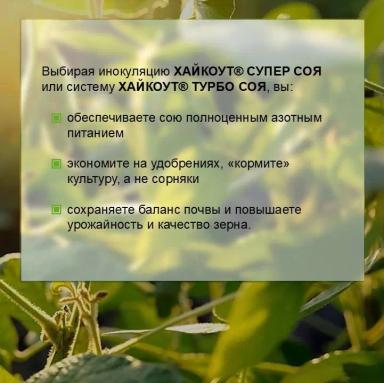 Соевый агрокалендарь