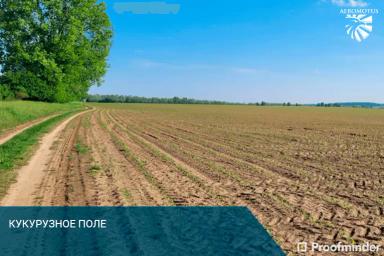 Высокоточный подсчет густоты стояния и высоты растений с помощью беспилотника