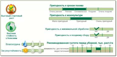 ПР 39 Р 86 - гибрид кукурузы ( Zea mays L.).