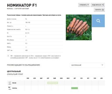 Номинатор F1 (NOMINATOR)