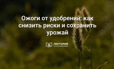 🔥 Топ-ошибок при внесении удобрений: как не навредить урожаю