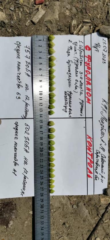 Фуролан  практика