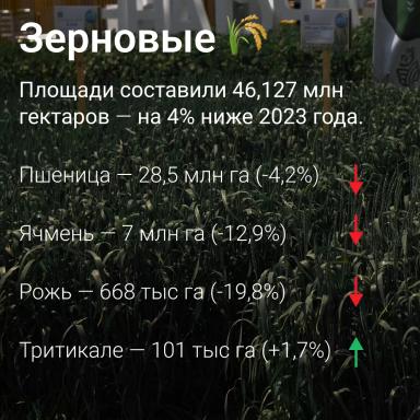 🗺️ Посевные площади в России сократились на 1,2%: данные Росстата