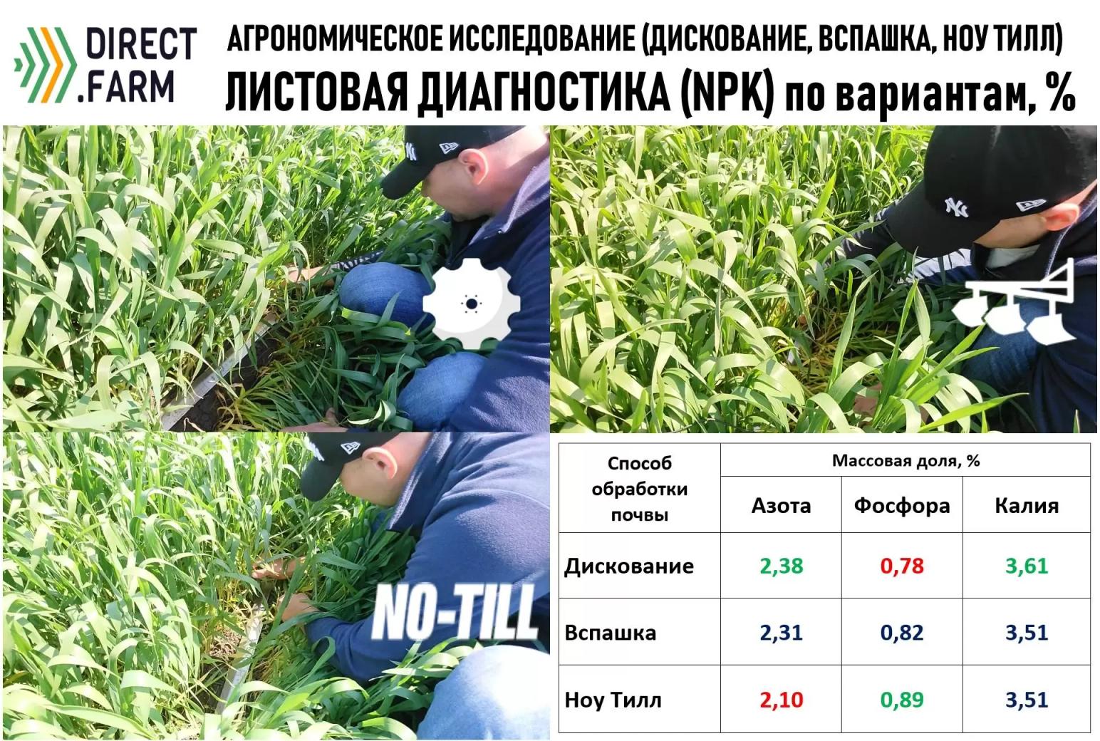 Листовая диагностика