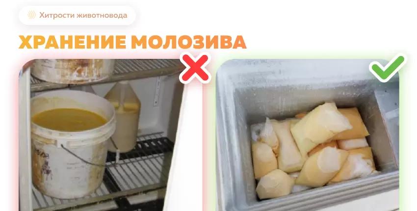 Хранение, заморозка и оттаивание молозива