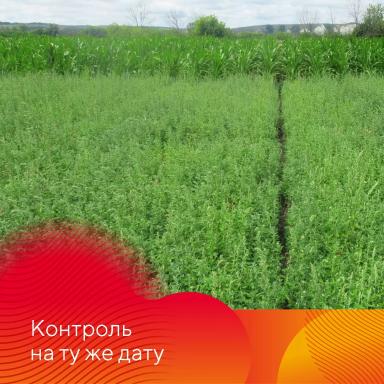 Работает Фултайм®!