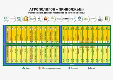 Новый Агрополигон "Приволжье" к посеву готов!