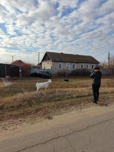 Экскурсии по сельским территориям