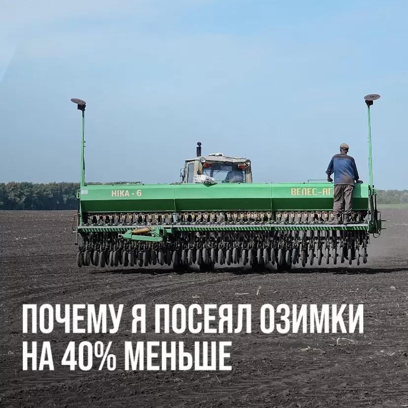 ПОЧЕМУ Я УМЕНЬШИЛ ПЛОЩАДИ ПОД ОЗИМУЮ ПШЕНИЦУ НА 40%.