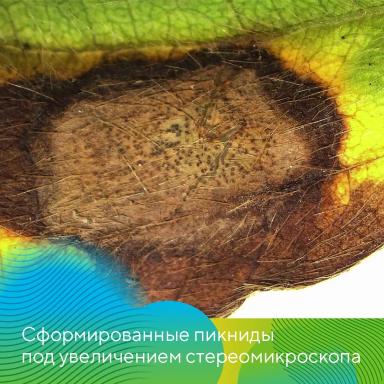 Экспедиция на Орловщину