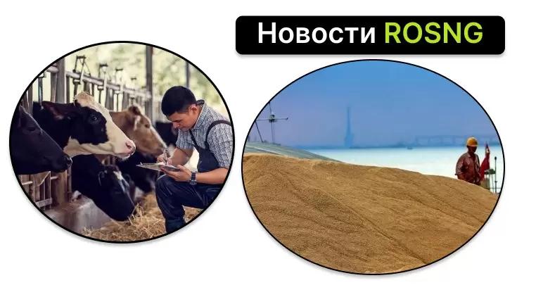 Дайджест новостей за 26 июля