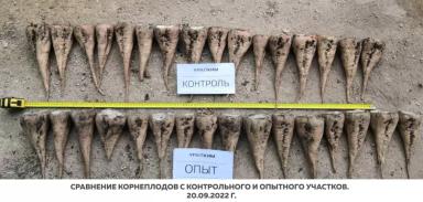 Листовые подкормки продуктами SOLAR NPK micro. Опыт на сахарной свекле.