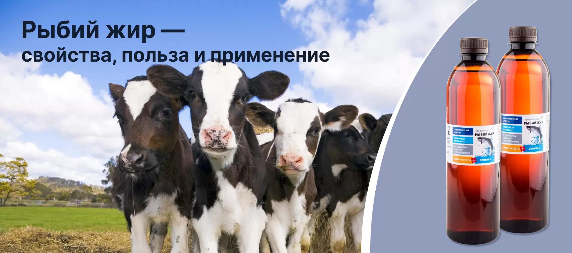 Рыбий жир — свойства, польза и применение