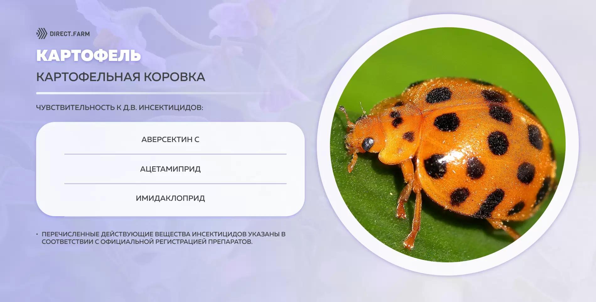 Шпаргалка д.в. против картофельной коровки