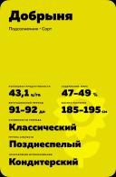 Добрыня сорт подсолнечника