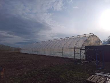 Как выбрать материал для укрытия теплицы