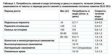 На что обращать внимание при обеспечении свиней водой