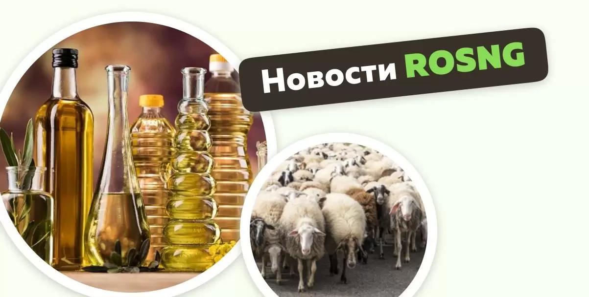 Обзор новостей за 5 октября