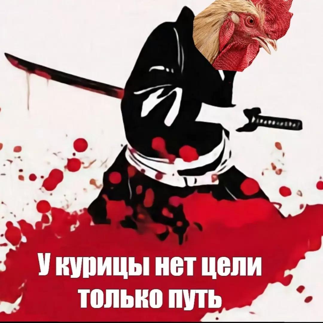 В связи с новой вспышкой птичьего гриппа в Японии начали уничтожать кур