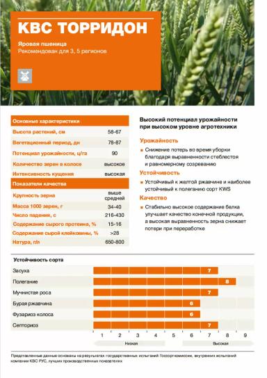 КВС Торридон ® сорт мягкой яровой пшеницы