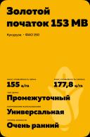 ЗОЛОТОЙ ПОЧАТОК 153 МВ - гибрид кукурузы ( Zea mays L.).