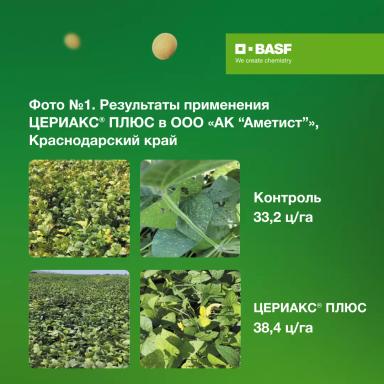 ЦЕРИАКС® ПЛЮС: эффективность на практике