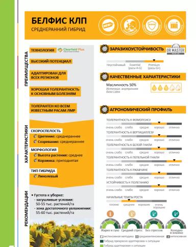 ЕС Белфис (ES BELFIS)