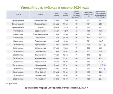 АРТЕЗИАН™: подберите свой идеальный гибрид кукурузы