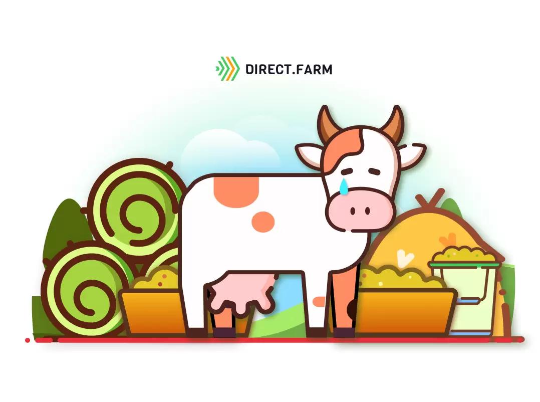 Причины и профилактика ожирения печени коров в транзитный период