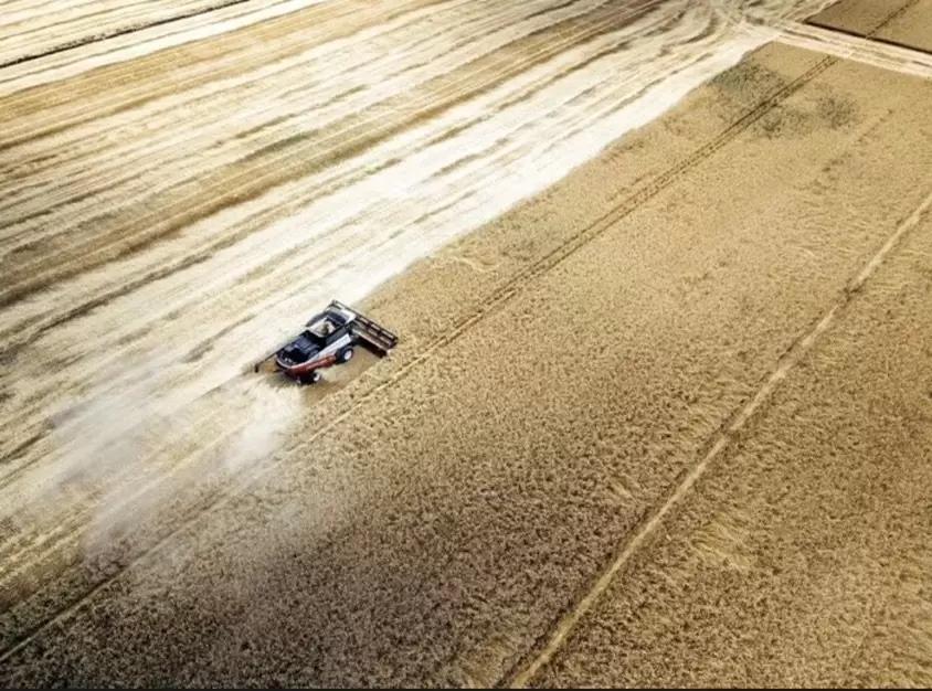 Рекордсмены из Книги рекордов на Агросалон-2022