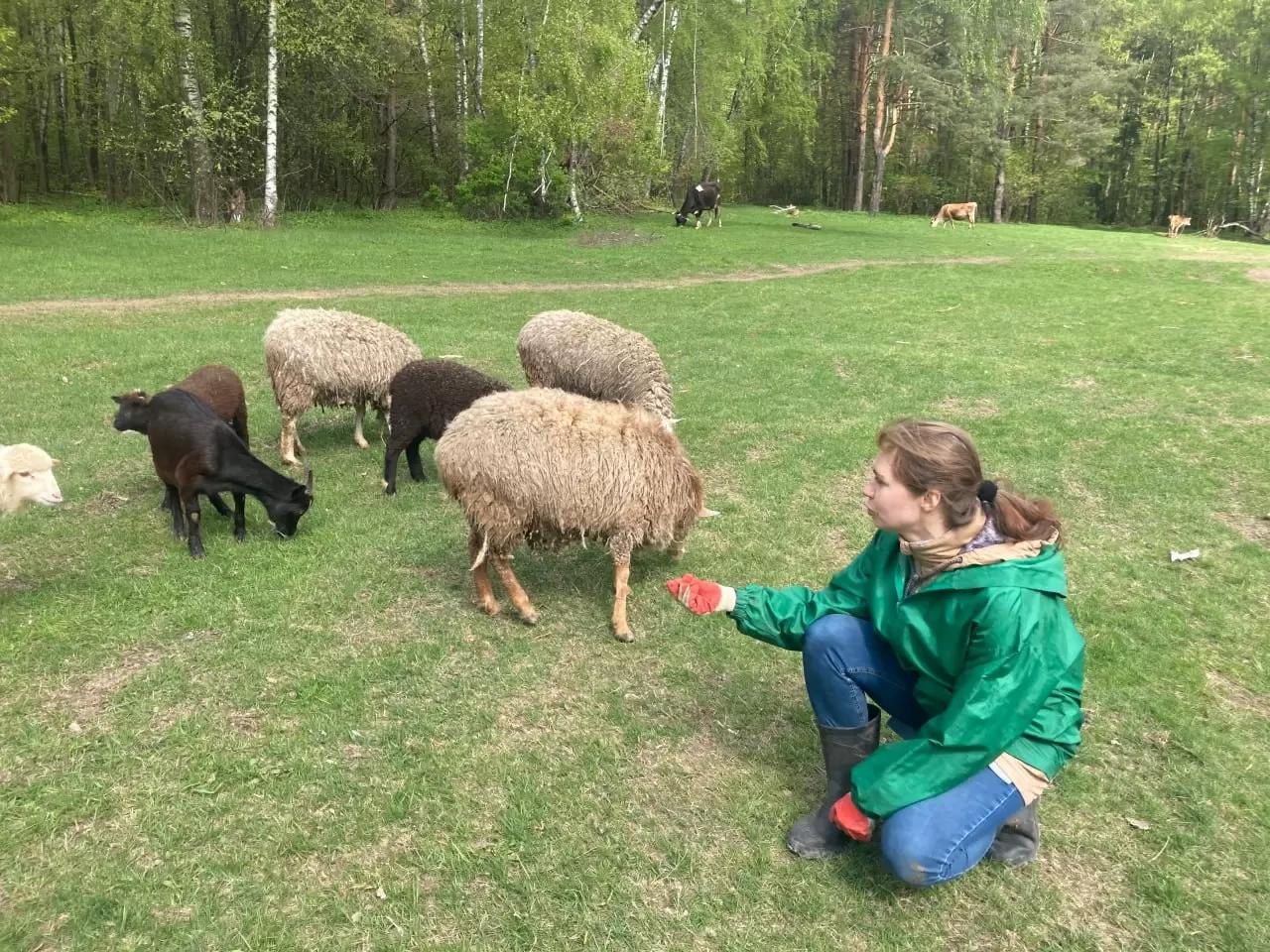 Как договариваться о гуманизации животноводства?