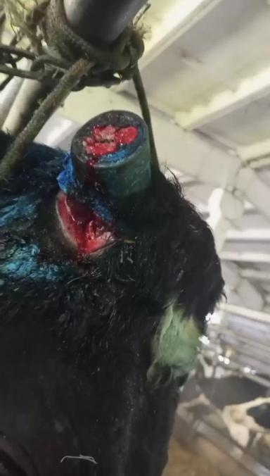 Обезвоживание.