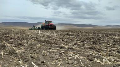 Сев рапса в Забайкальском крае