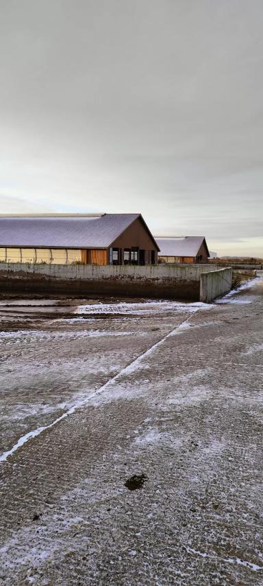 Решил заняться телеграмом)