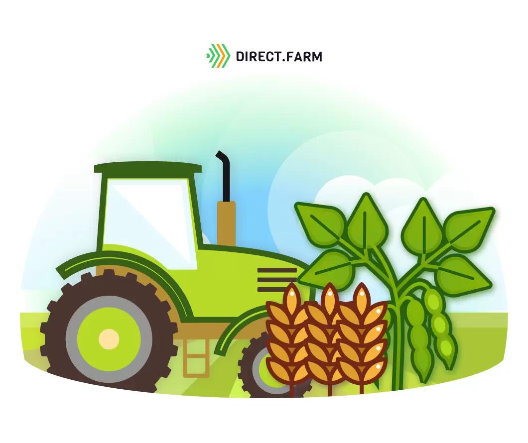 Как раскислить почву?