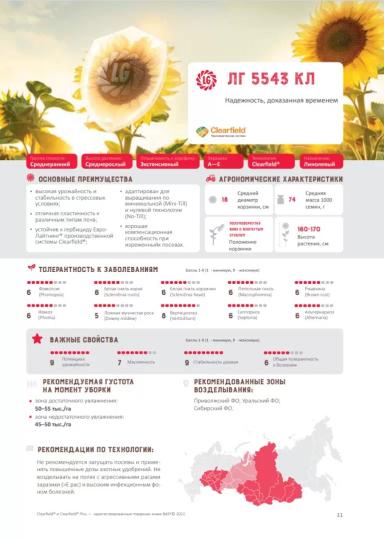 ЛГ 5543 КЛ подсолнечник