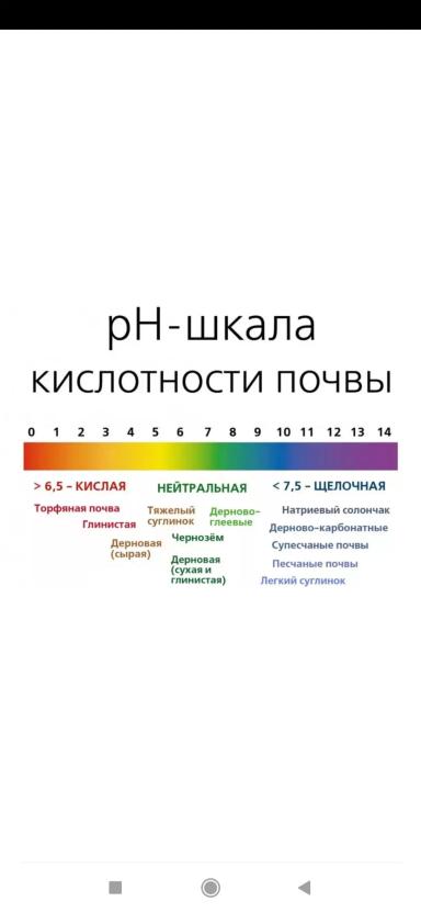 Кислотность почвы.