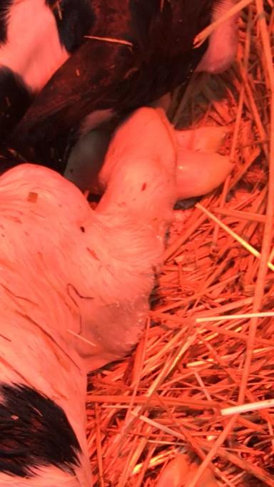 “Эстафета ответов” 